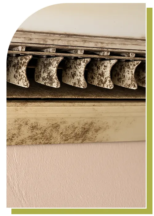 Air Duct Mold Removal Service Katy TX